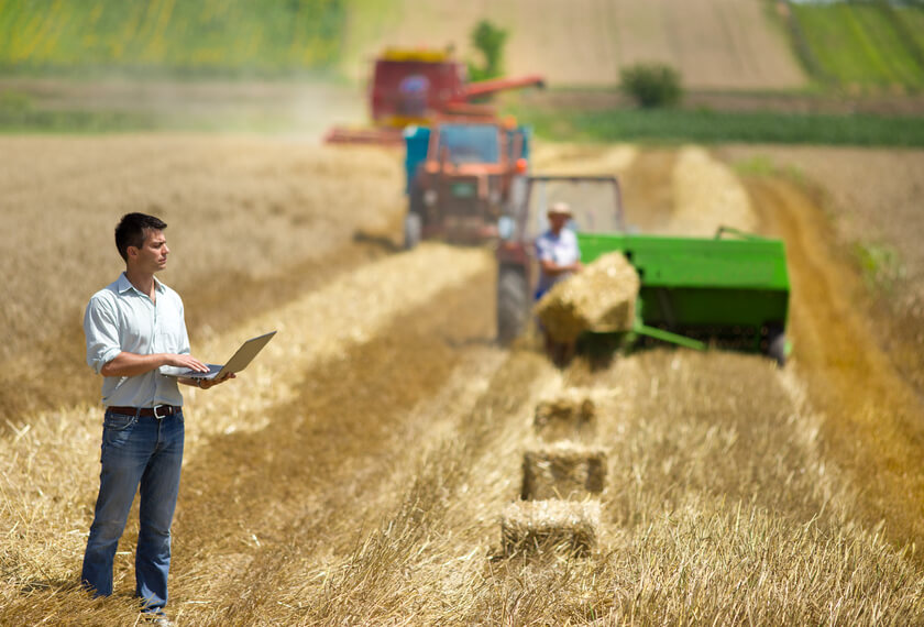 Produtor rural precisa ficar atento à necessidade de declarar IR